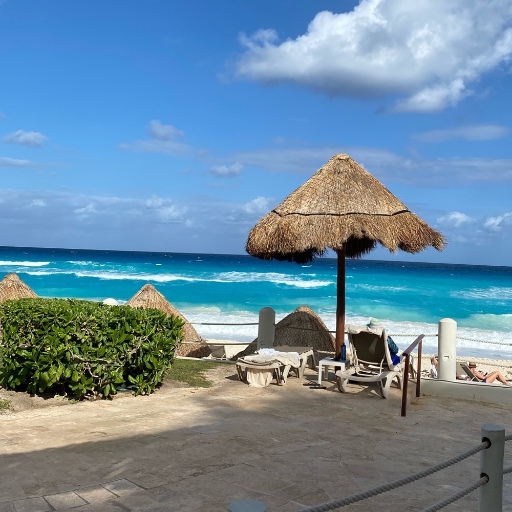 Meet your Posher, Terry